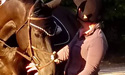Picture of horse rider